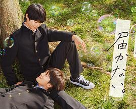 宝鸡关键词网站优化